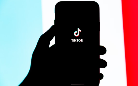 2024年TIKTOK小店趋势，风口正当时？