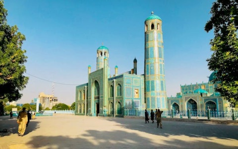 个人税号ITIN申请指南