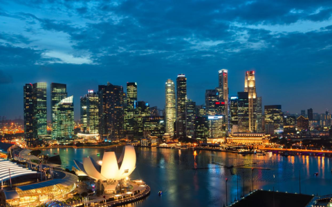 成立新加坡基金会的好处