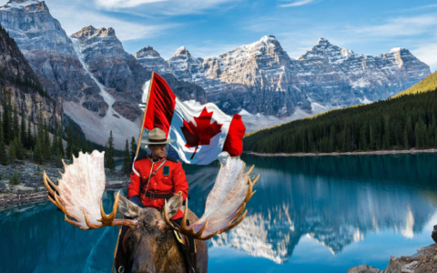 加拿大MSB牌照转让：流程、注意事项与风险分析