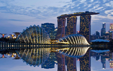 新加坡公司分红转回内地全攻略