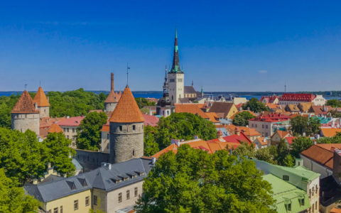 爱沙尼亚注册基金会的指南