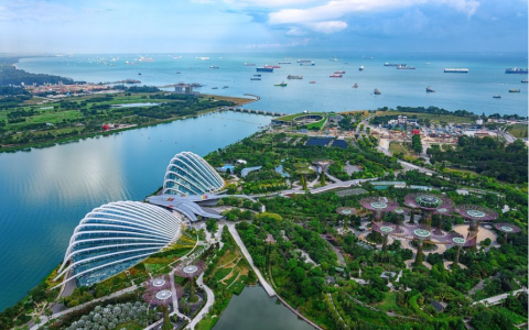 美国MSB牌照可以用新加坡基金会去注册吗？