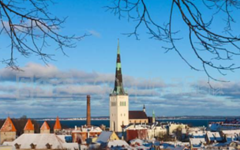 爱沙尼亚加密币（MTR）牌照详解