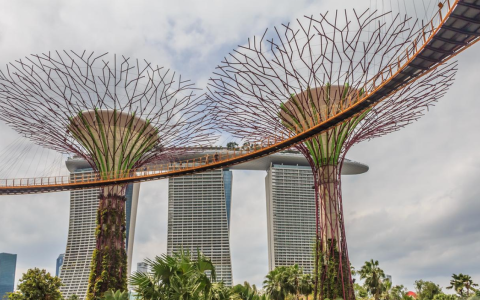 新加坡MAS牌照申请全攻略