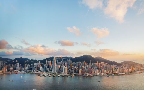 香港公司：有运营审计与无运营审计报告的对比分析