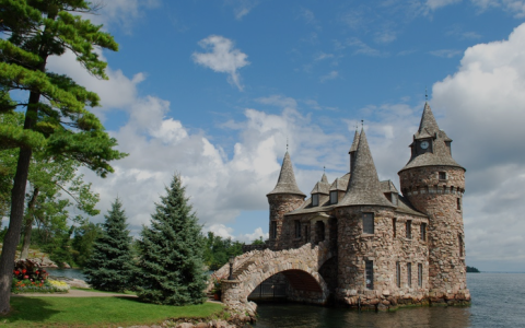 加拿大MSB牌照可以从事外汇业务吗？