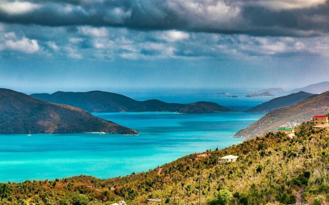 BVI公司股权转让需要缴税吗？