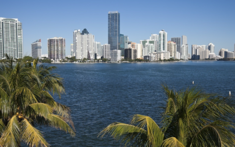 美国EIN税号可以办理吗？全面解析与申请指南