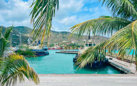 BVI公司是否可以按原投资金额进行股权转让？