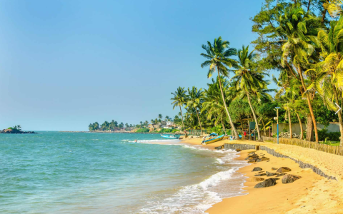 开曼公司可以转代理吗？