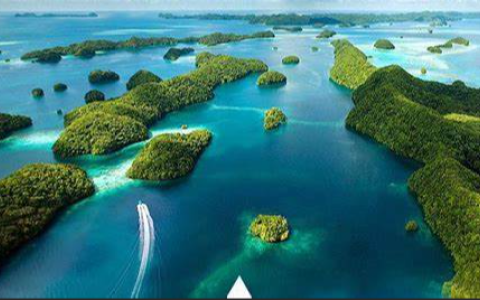 为什么上市公司都选择在开曼注册公司？