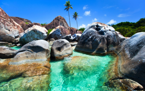 BVI公司的COI文件是向政府申请的吗？详细解答与指南