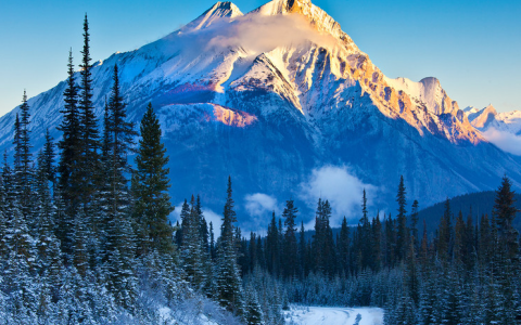 加拿大MSB牌照与美国MSB牌照哪个更好？