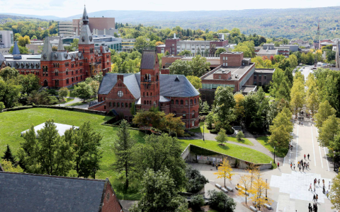 纽约州公司注销的全面程序指南