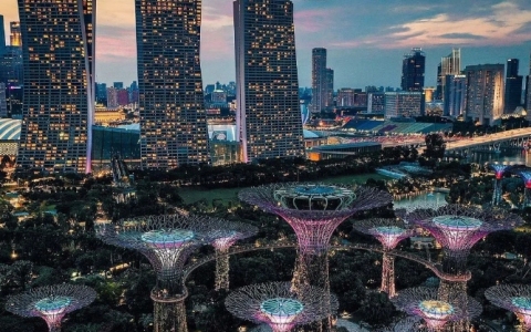 新加坡与香港公司注册全面对比：政策、税务与运营维护