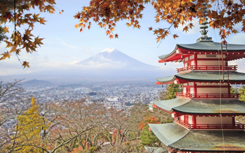 注册日本公司无需法人亲自前往日本吗？