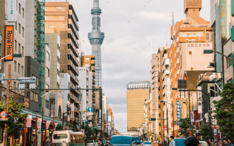 在日本注册公司：为何设立代表董事是必要之举？