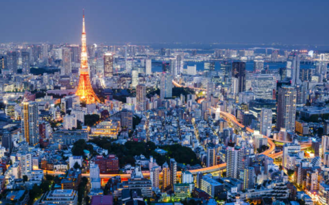 日本公司后期维护全面指南：确保合规与持续发展