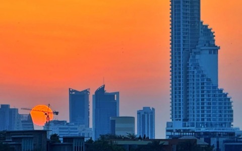 注册巴林公司的类型有哪些