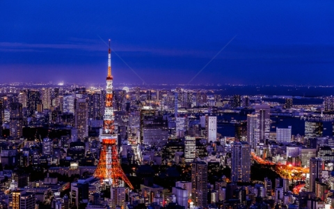 2024年日本公司注册优势解析与类型选择指南