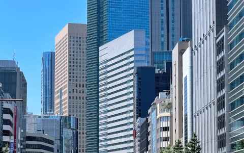 日本公司注册——详细的税务指南
