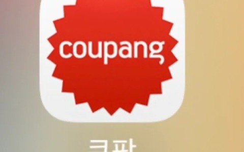 专业术语及Coupang业务模式；