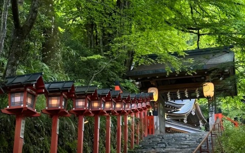 2024企业出海必备——日本公司注册详细指南，超级干货，赶紧收藏！