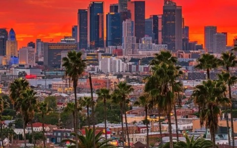 如何注册一家美国公司——美国公司注册全面解析，超详细注册指南在此