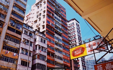 香港公司注册全攻略：类型选择、注册流程与后续维护