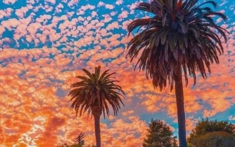 全面解析华美银行与摩根大通—美国公司注册与开户全攻略