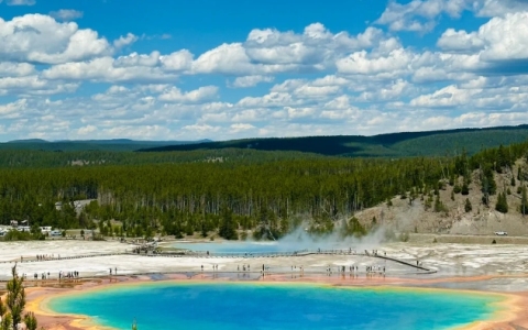 特拉华州 vs 科罗拉多州：2024美国公司注册最优选择全解析