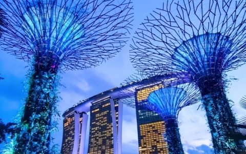 2024新加坡公司注册有哪些优势？新加坡公司注册流程&注册条件&注册资料