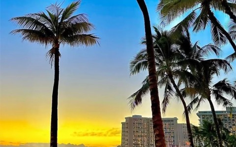 2024美国公司注册——最全实用指南（注册州的选择、资料、流程及后续维护）