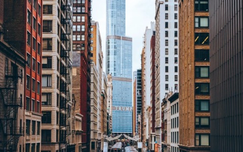 2024美国公司注册之公司类型的选择——LLC公司超详细注册指南