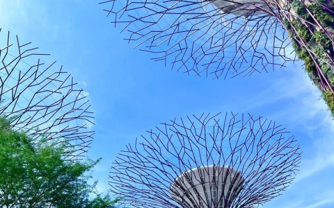 新加坡银行开户开那个银行好？各大银行开户全面解析