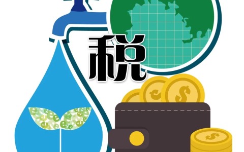 2025新加坡税务解析 & 税务优化指南