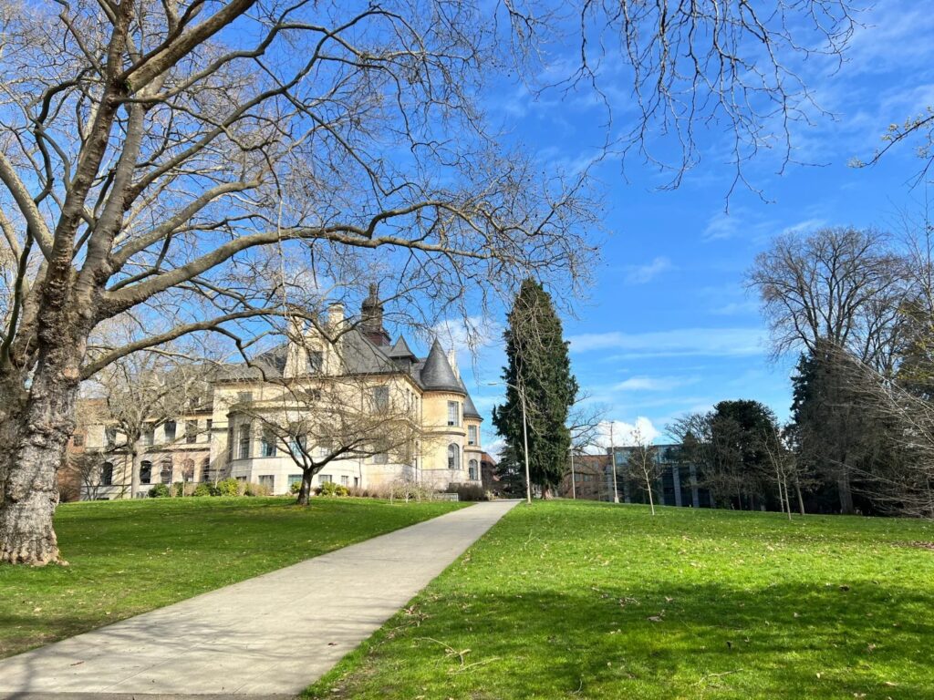 必看！注册美国公司后，如何做账报税？有什么注意事项