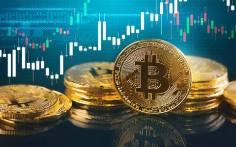 收藏 | 美国公司BOI申报指南，你的美国公司申报了吗