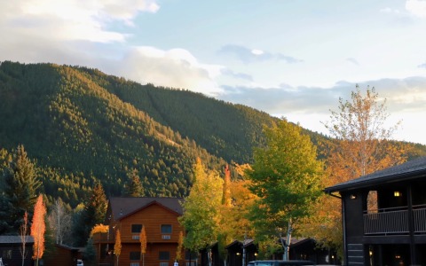 美国公司注册类型的选择——C型公司（特点、税务申报要求）