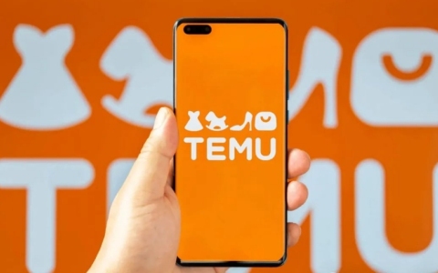 Temu崛起：TEMU市场潜力分析及注册美国公司的策略