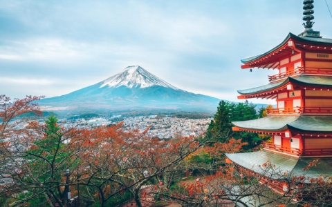 2024日本市场潜力、贸易政策与投资指南深度解析