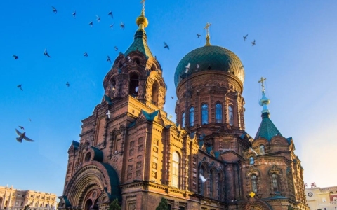 秋季俄罗斯消费者对家居饰品的需求大增，详解市场趋势及未来展望