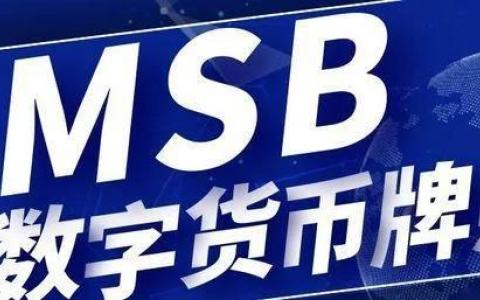 超详细解析：美国MSB金融牌照介绍&申请指南