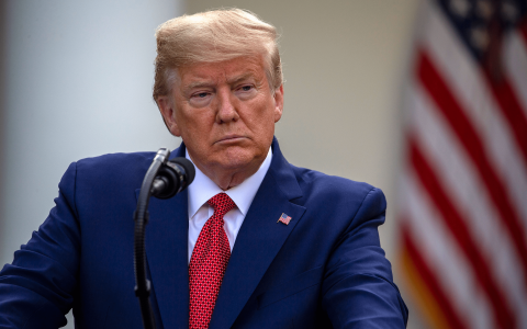 特朗普上台对美国跨境电商有哪些影响？中国卖家注册美国公司入驻本土店能否应对？