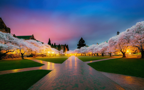 进入日本市场前必读完整版指南：一文带你了解商标注册的每一步，避免侵权风险