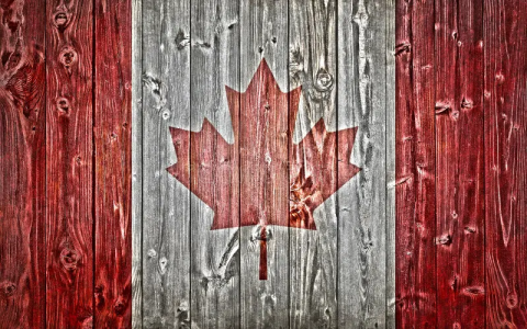 为什么众多交易所争抢加拿大MSB牌照？申请流程及注意事项全解析