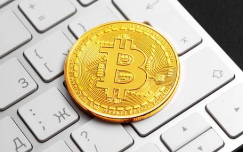 圣文森特BC牌照全解析：优势、申请流程及注意事项一网打尽