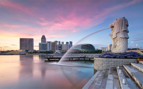 新加坡CMS金融牌照深度剖析：类型、申请要求及流程指南