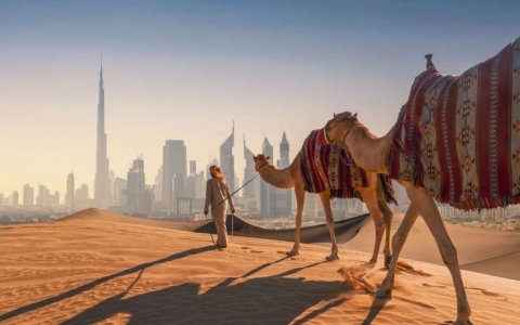 阿联酋IFZA自贸区公司注册要求详解：零税政策引领中东市场（注册攻略）